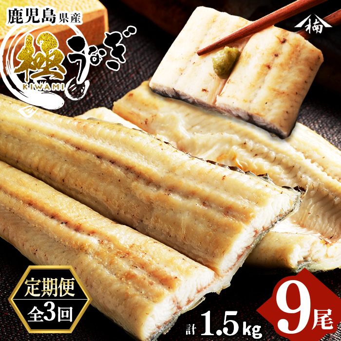 【定期便全3回】うなぎ本来の旨みが楽しめる白焼き定期便！ t0066-002
