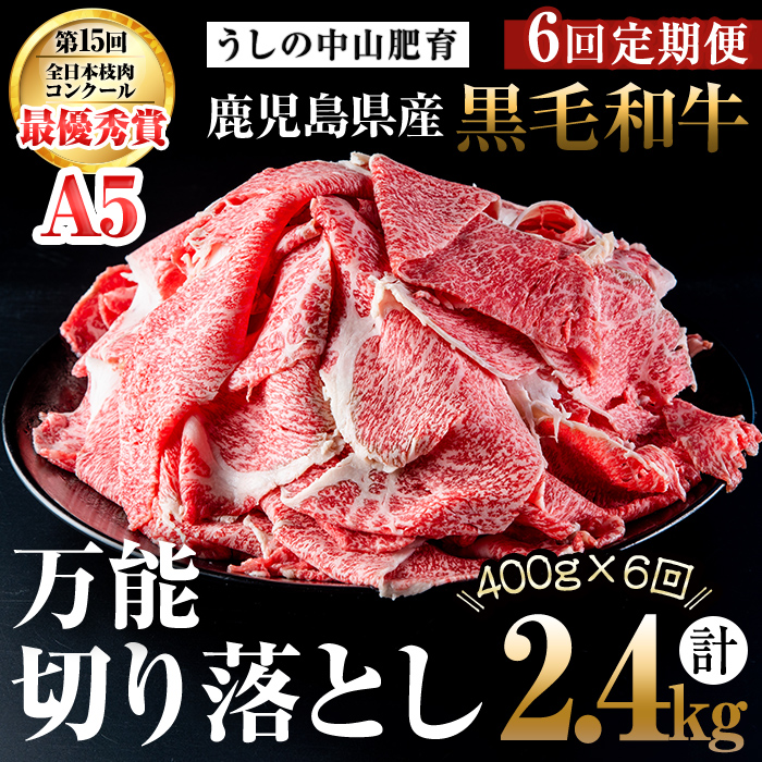【定期便全6回】＜A4・A5等級＞黒毛和牛万能切り落とし肉 計2.4kg(400g×1P・全6回) 黒毛和牛 和牛 切り落とし 肉 牛肉 国産 九州産 鹿児島県産 すき焼き しゃぶしゃぶ 牛丼 小分け A5 日本一 ランキング 人気 定期便 t0072-005