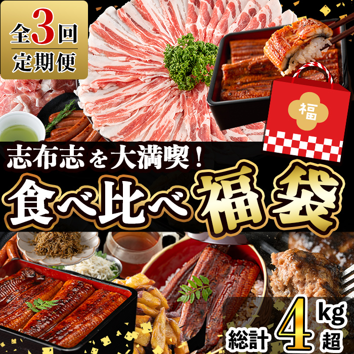 【定期便全３回】志布志を大満喫！食べ比べ福袋 総計４kg超 うなぎ 鰻 蒲焼き 6尾 鹿児島 黒豚 しゃぶしゃぶ 切り落とし ハンバーグ 冷凍 ウインナー 角煮 ちりめんじゃこ しらす 緑茶 紅茶 ウーロン茶 定期便 福袋 t0084-014