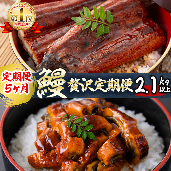 【定期便全5回】うなぎ2.1kg！5ヶ月間うなぎが楽しめる定期便！ t0098-001