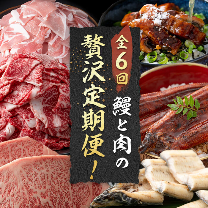 【定期便全6回】鰻と肉の贅沢定期便！鰻とお肉が交互に届くお楽しみ便 定期便 牛肉 ステーキ 鰻 豚肉 t0101-005