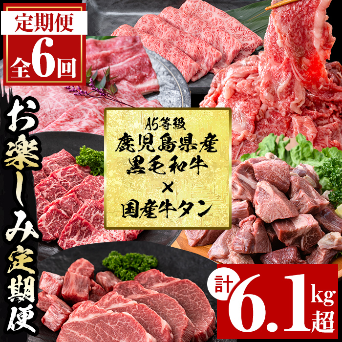 【定期便・全6回】＜A5等級＞鹿児島県産黒毛和牛＆国産牛タンのお楽しみ牛肉定期便＜計6.1kg超＞ 定期便 牛肉 肉 お楽しみ バラエティ 小分け 牛たん すき焼き しゃぶしゃぶ ステーキ 焼肉 セット 頒布会 t0135-001