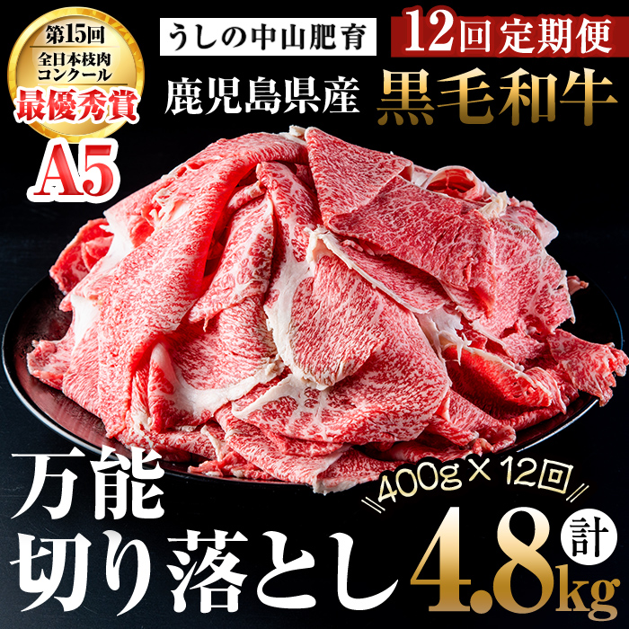 【定期便全12回】＜A4・A5等級＞黒毛和牛万能切り落とし肉 計4.8kg(400g×1P・全12回) 黒毛和牛 和牛 切り落とし 肉 牛肉 国産 九州産 鹿児島県産 すき焼き しゃぶしゃぶ 牛丼 小分け A5 日本一 ランキング 人気 定期便 t0144-001