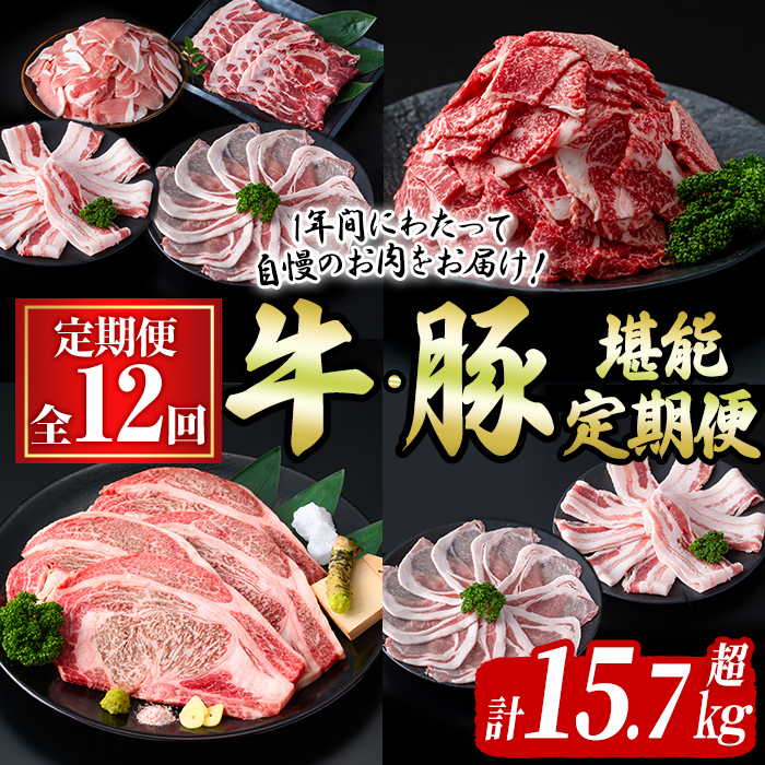 【定期便全12回】牛・豚堪能定期便(12ヶ月連続・計15.7kg超) 黒毛和牛 国産牛 九州産 豚 豚肉 肉 牛肉 国産 4等級 訳あり 小分け 真空包装 冷凍 t0194-002
