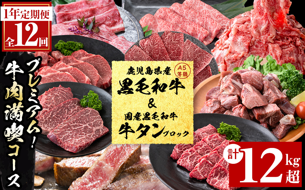 【定期便・全12回】＜A5等級＞鹿児島県産黒毛和牛＆国産牛タン プレミアム！牛肉満喫コース＜計12kg超＞ 定期便 牛肉 肉 1年 12回 12ヶ月 お楽しみ バラエティ 小分け 牛たん すき焼き しゃぶしゃぶ ステーキ 焼肉 セット 頒布会 	t026-001