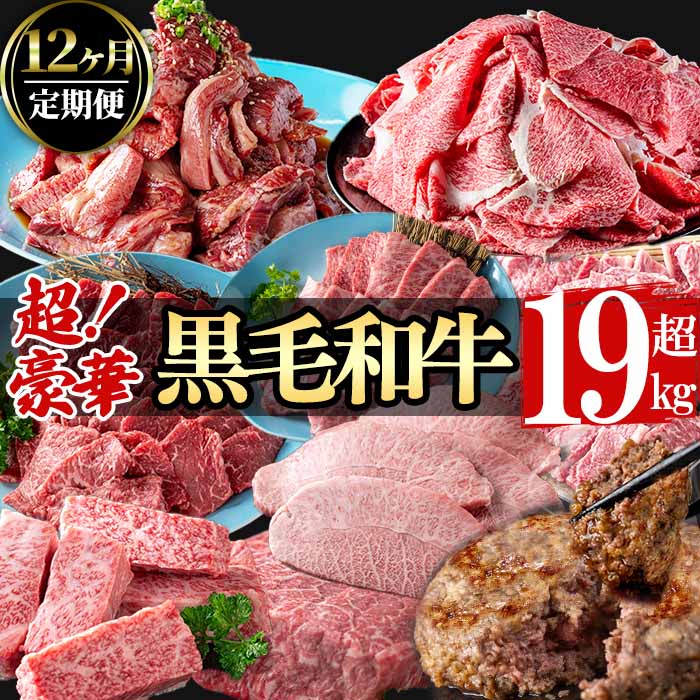 【定期便全12回】超豪華！黒毛和牛堪能贅沢定期便！(総重量19kg超) 鹿児島県産 黒毛和牛 和牛 肉 牛肉 国産 九州産 鹿児島県産 焼肉 BBQ 日本一 ランキング 人気 A4 A5 ステーキ 切り落とし ハンバーグ カルビ ミスジ 訳あり t0365-001