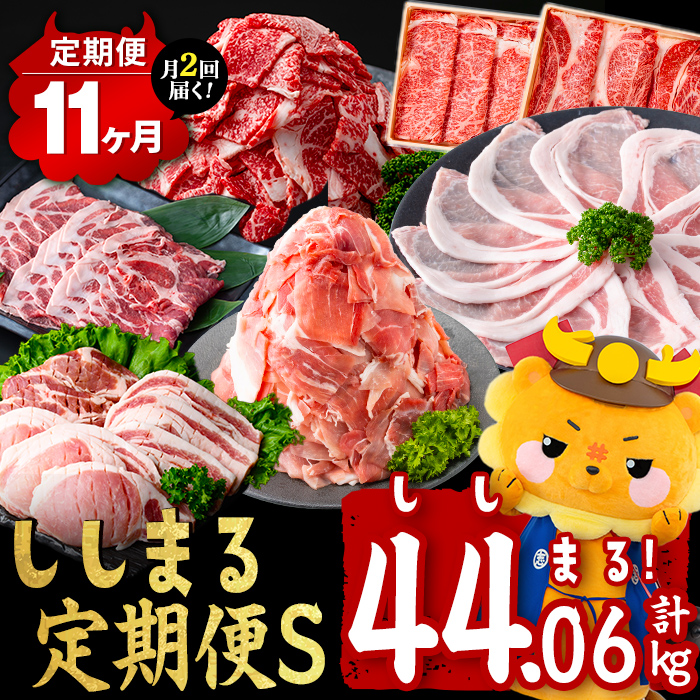【定期便11ヶ月】ししまる定期便S(11ヶ月連続 月1～2回お届け！・計44.06kg) 黒毛和牛 黒豚 国産牛 九州産 豚 豚肉 肉 牛肉 国産 4等級 小分け 真空包装 冷凍 t0372-001