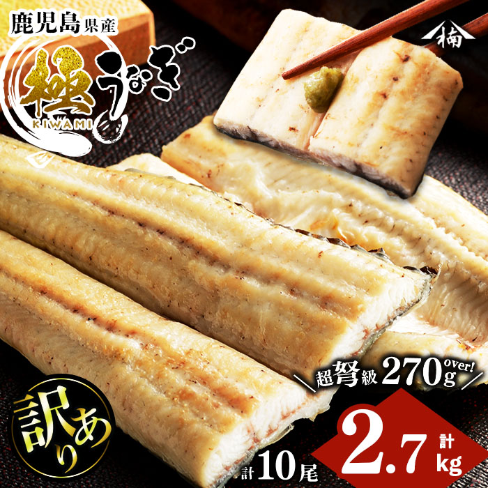 【訳あり】鹿児島県大隅産！楠田の極うなぎ白焼き 10尾(計2.7kg以上・1尾あたり270g～299g) 国産 鹿児島県産 鰻 真空 冷凍 白焼き うなぎ 訳あり wa0-004