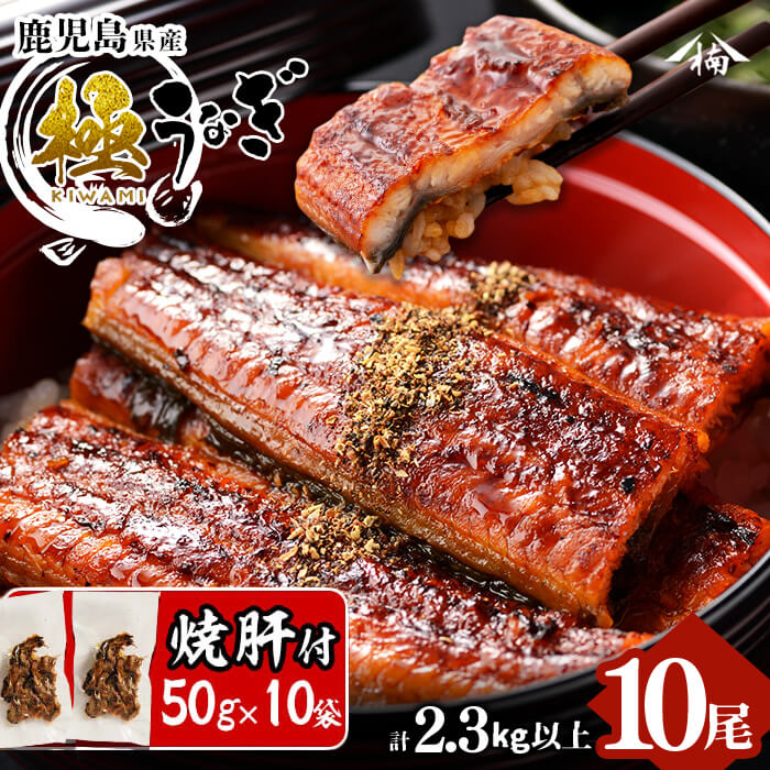 楠田の極うなぎ蒲焼き 230g以上×10尾(計2.3kg以上) 焼肝10袋付き wa24-004