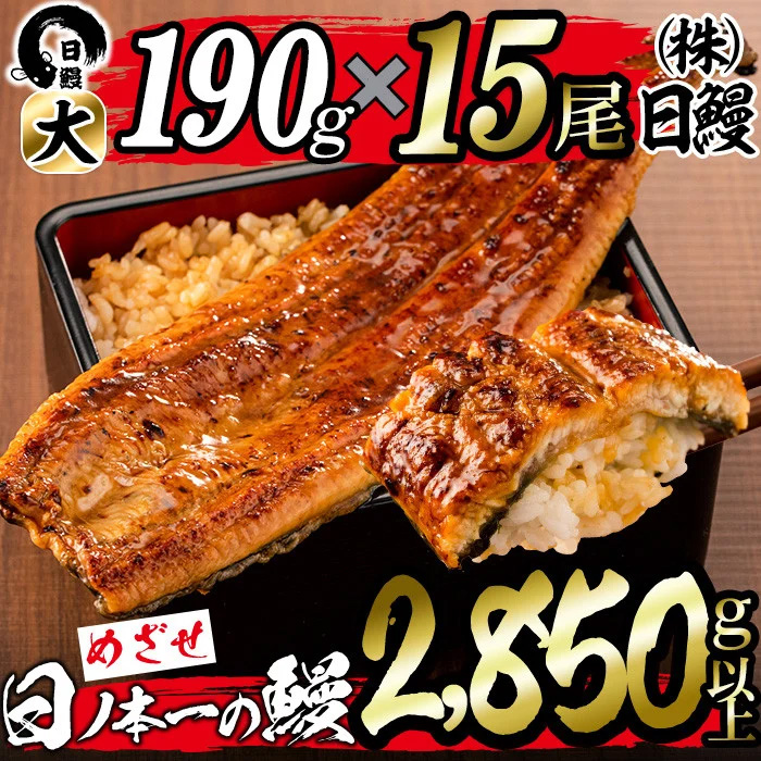 日ノ本一の鰻の蒲焼き＜大＞計15尾セット(計2,850g以上) うなぎ 鰻 ウナギ 国産 鹿児島県産 九州産 蒲焼き 冷凍 うな重 ひつまぶし wa24-006