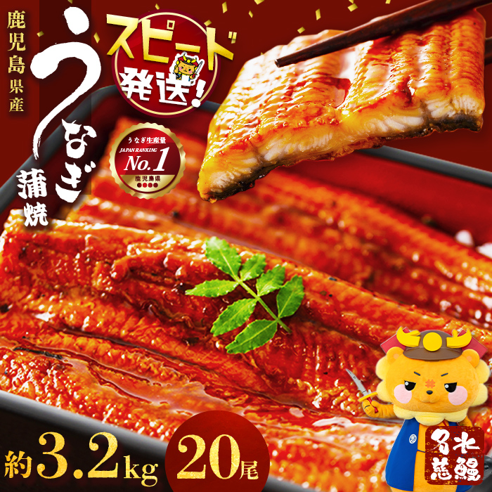 鹿児島県産うなぎ蒲焼 名水慈鰻 20尾(1尾約160g)＜計約3.2kg＞ wa4-001