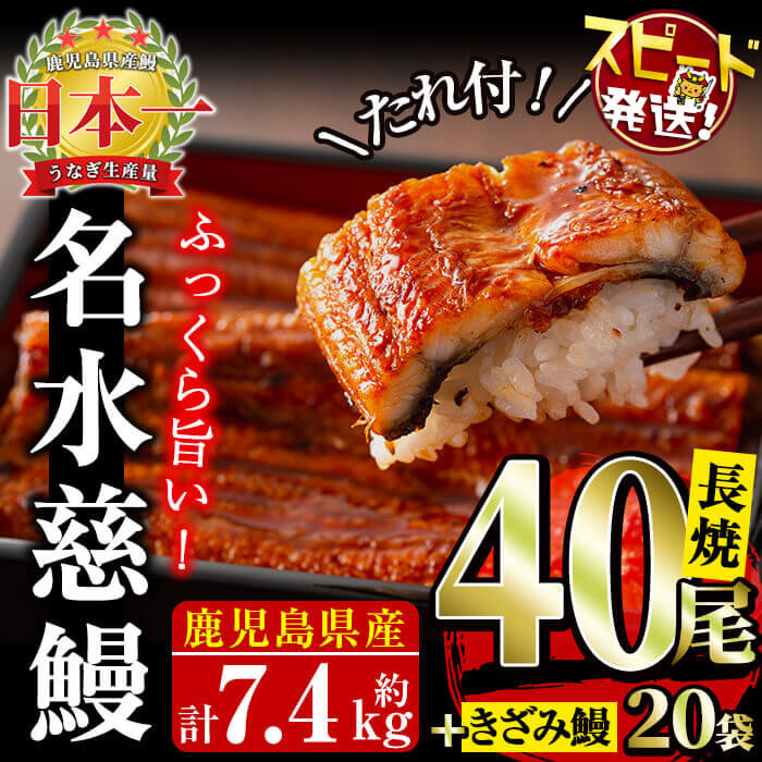鹿児島県産うなぎ蒲焼 名水慈鰻 40尾(1尾約160g)+きざみ鰻20袋(1袋約50g)＜合計約7.4kg＞ wb82-001