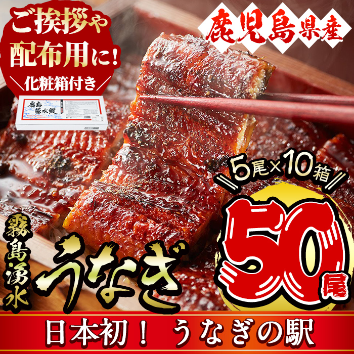 【数量限定】【化粧箱10箱】ご挨拶・配布用にも！鹿児島県産 山田水産の霧島湧水鰻＜計50尾(5尾×10箱)/計8kg(1尾あたり160g)＞ うなぎ 鰻 ウナギ 贈答 50尾 国産 九州産 蒲焼き かばやき 冷凍 うな重 ひつまぶし ランキング 人気 wc5-002