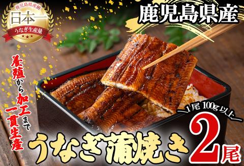 桜林養鰻のうなぎ蒲焼 計200g以上(100g以上×2尾) a3-195
