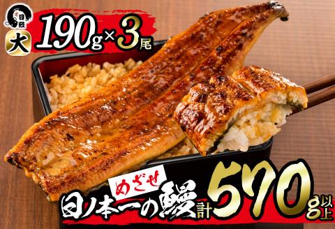 日ノ本一の鰻の蒲焼き＜大＞3尾セット(計570g以上) うなぎ 鰻 ウナギ 国産 鹿児島県産 九州産 蒲焼き 冷凍 うな重 ひつまぶし b7-029