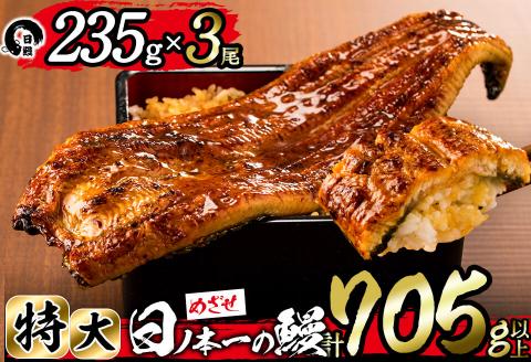 日ノ本一の鰻の蒲焼き＜特大＞3尾セット(計705g以上) うなぎ 鰻 ウナギ 国産 鹿児島県産 九州産 蒲焼き 冷凍 うな重 ひつまぶし c2-009