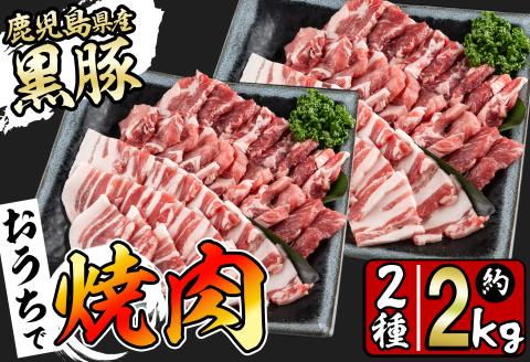 鹿児島県産黒豚焼肉セット(計2kg・黒豚肩ロース焼肉500g×2P 黒豚バラ焼肉500g×2P) b1-008