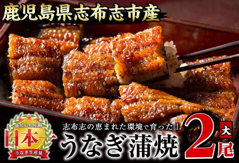 うなぎの大楠＜大＞2尾セット計300g(150g×2)　うなぎ 鰻 ウナギ 2尾 国産 九州産 蒲焼き かばやき 冷凍 うな重 ひつまぶし タレ 山椒 真空パック ランキング 人気 a5-244
