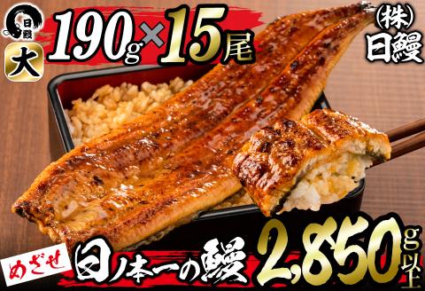 日ノ本一の鰻の蒲焼き＜大＞計15尾セット(計2,850g以上) うなぎ 鰻 ウナギ 国産 鹿児島県産 九州産 蒲焼き 冷凍 うな重 ひつまぶし wa24-006