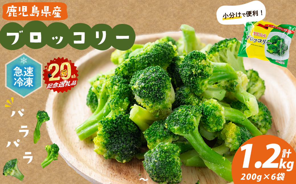 【志布志市制20周年記念】鹿児島県産 冷凍ブロッコリー(計1.2kg) ブロッコリー 野菜 冷凍 カット カット野菜 国産 簡単 手軽 サラダ 味噌汁 スープ お弁当 p9-044