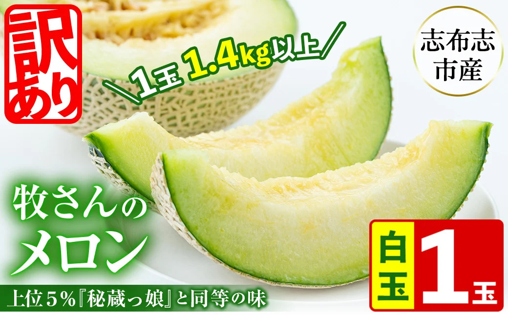 【冬限定・数量限定】牧さんの訳ありメロン 白玉(青肉)1玉 メロン マスクメロン 果物 くだもの デザート 赤肉 訳あり a1-058-w