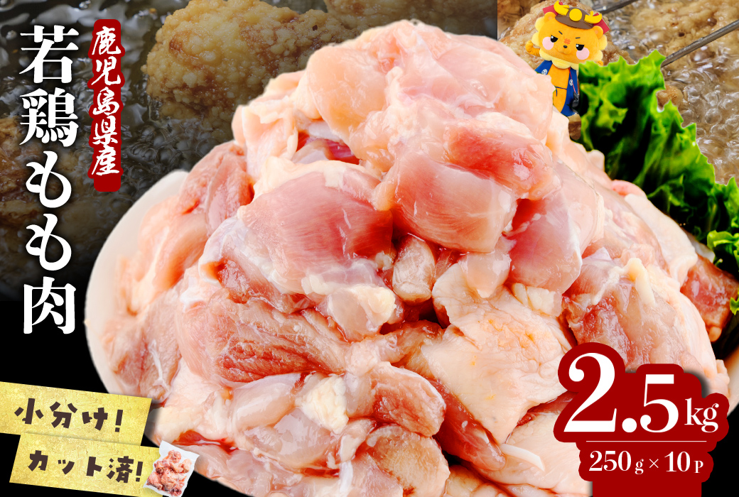 小分けで便利！鹿児島県産若鶏もも肉切身 計2.5kg(250g×10P) 鶏肉 とり肉 鳥肉 鶏もも肉 とりもも もも肉 もも モモ 若鶏 小分け 真空 真空パック 保存 カット カット済 唐揚げ 煮物 鍋 おかず お弁当 a2-124