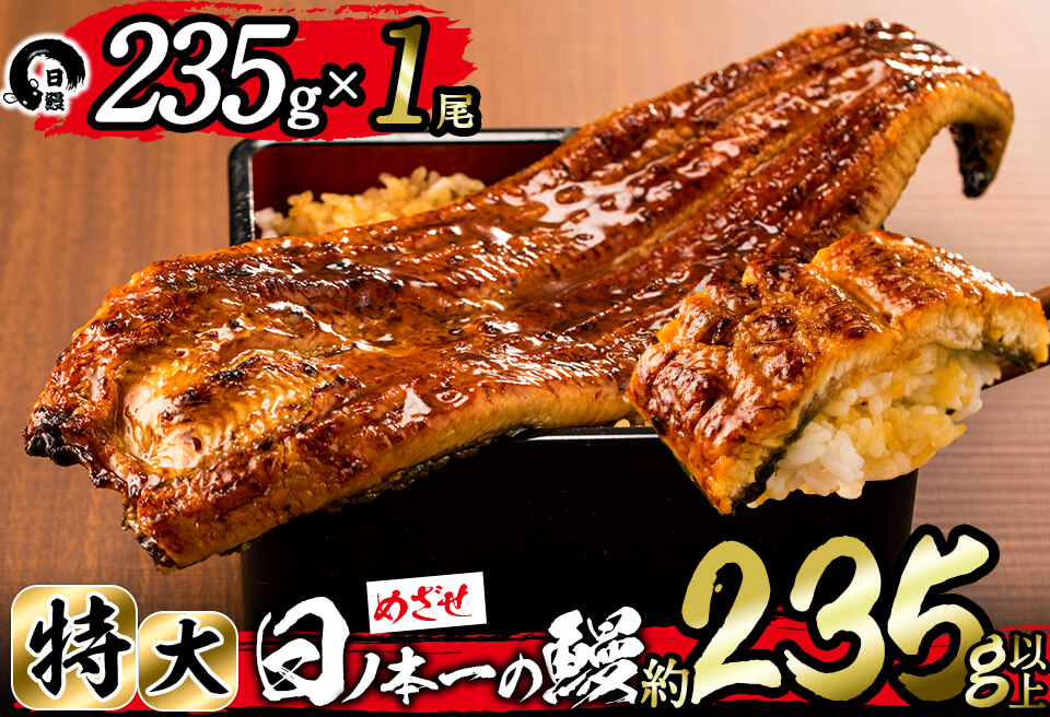 日ノ本一の鰻の蒲焼き＜特大＞1尾(約235g以上) a4-071