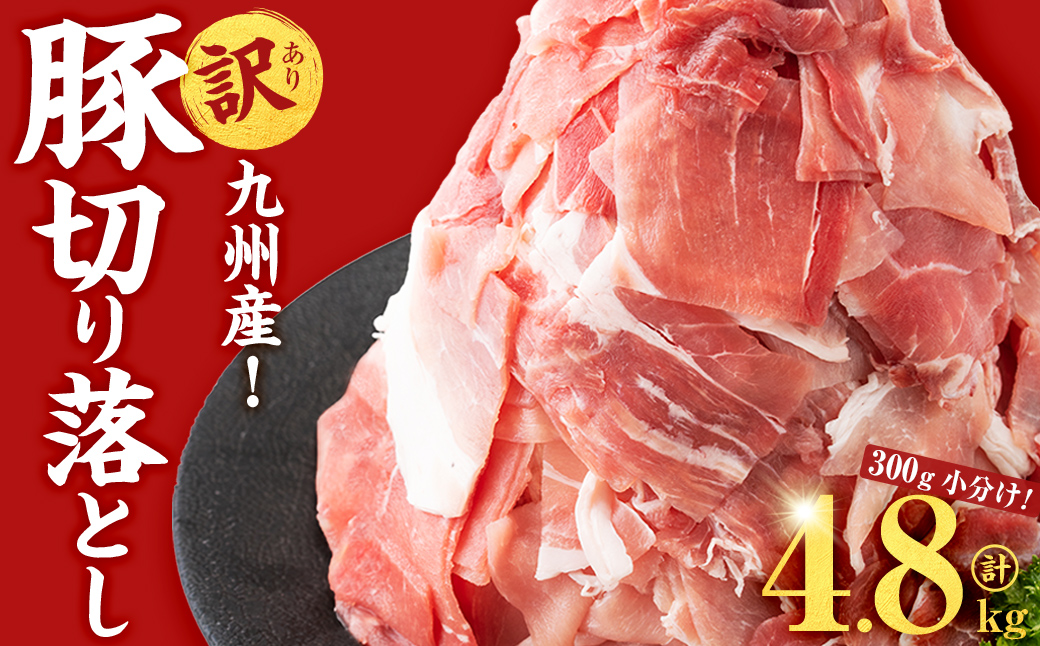 【訳あり・生産者応援企画】九州産 豚切り落とし肉＜計4.8kg(300g×16P)＞ 豚肉 ぶた肉 肉 国産 九州産 切り落とし 切落し 小分け 真空パック チャック付き 野菜炒め 豚丼 カレー b3-023