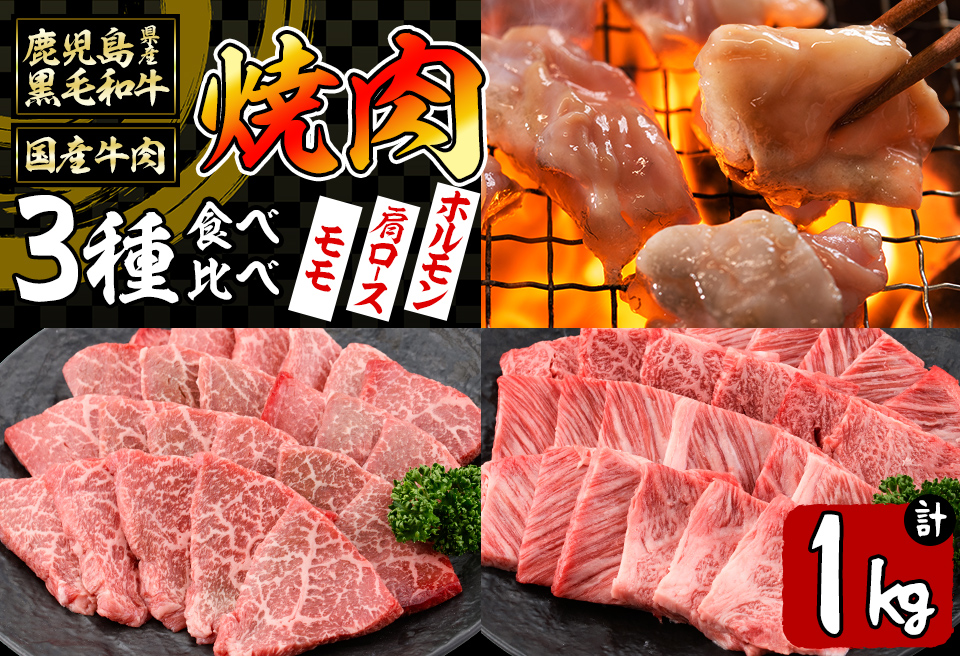 【焼肉3種！食べ比べセット】鹿児島県産黒毛和牛 モモ・肩ロース・国産ホルモンの焼肉3種セット＜計1kg＞ 牛肉 肉 焼肉 セット 焼肉セット 焼き肉 小分け 食べ比べ 赤身 霜降り ホルモン やきにく BBQ b2-030