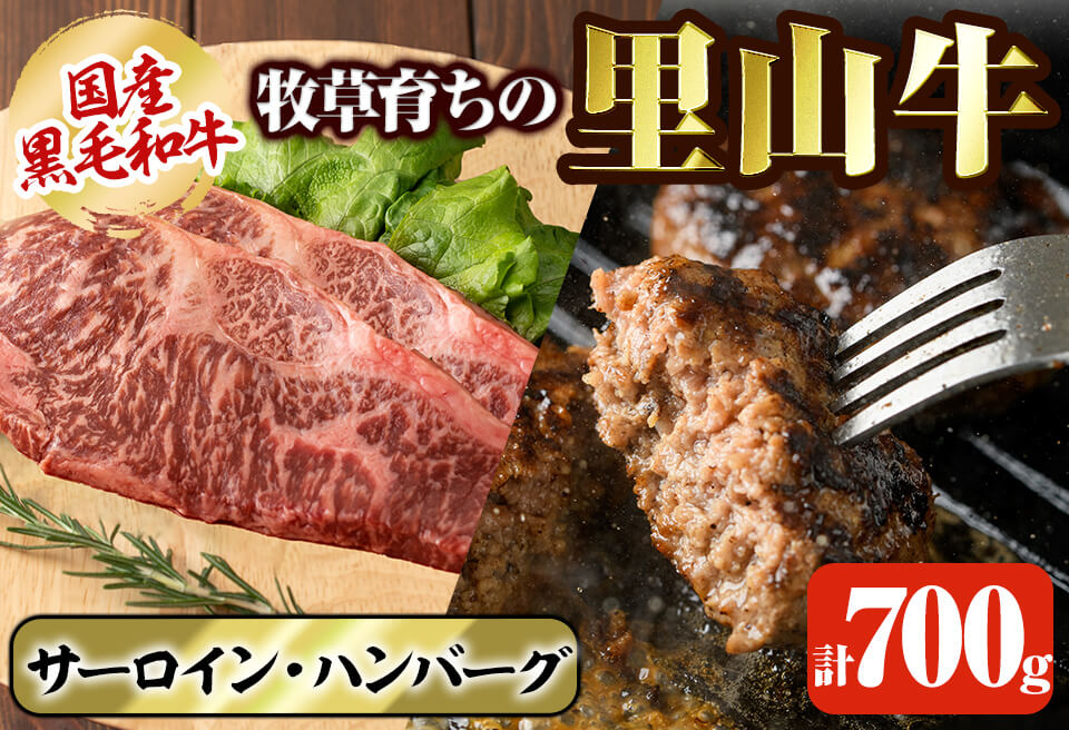 国産黒毛和牛 牧草育ちの里山牛 サーロインステーキ＆手作りハンバーグセット 計700g 黒毛和牛 和牛 肉 牛肉 国産 ハンバーグ サーロイン ステーキ b1-016