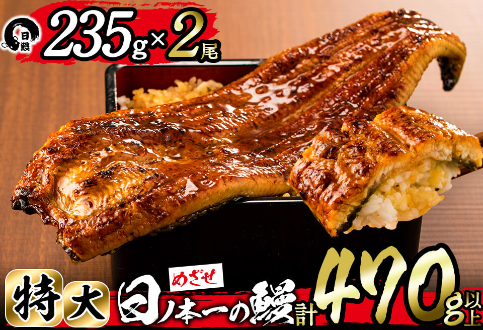 日ノ本一の鰻の蒲焼き＜特大＞2尾セット(計470g以上) うなぎ 鰻 ウナギ 国産 鹿児島県産 九州産 蒲焼き 冷凍 うな重 ひつまぶし b3-010