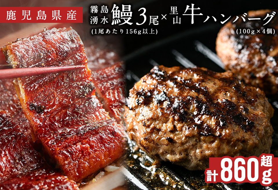 鹿児島県産 霧島湧水鰻3尾(1尾156g)×里山牛100%手作りハンバーグ4個(1個100g) (総計860g以上) うなぎ 鰻 ウナギ 蒲焼き 真空パック うな丼 鰻重 牛 牛肉 鹿児島県産 国産 ハンバーグ 100% b6-019