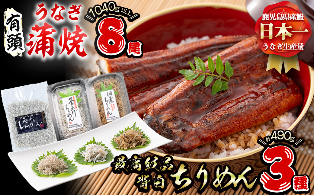 極うなぎ蒲焼130g以上×8尾(計1040g以上)+佃煮ちりめん90g+釜揚げちりめん100g×3個+ちりめん100g うなぎ 鰻 ウナギ 蒲焼 8尾 真空パック 鰻重 うな丼 ちりめん しらす ちりめんじゃこ e7-020
