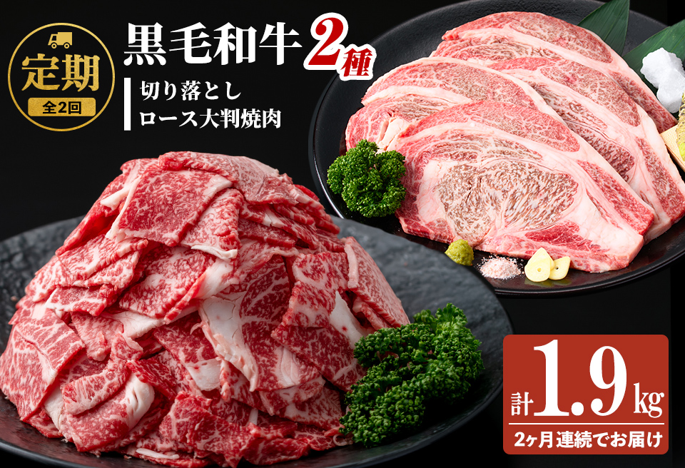 【定期便 全2回】国産 黒毛和牛2種お楽しみ定期便(計1.9kg) 国産 黒毛和牛 切り落とし 4等級 以上 九州産 ロース 大判 焼肉 和牛 牛 牛肉 焼き肉 冷凍 小分け 訳あり 定期便 頒布会 t0029-001