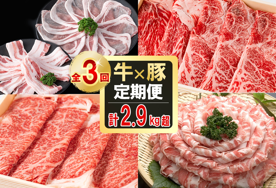 【定期便全3回】贅沢！国産黒毛和牛・豚肉定期便(3ヶ月連続・総量2.9kg以上) 黒毛和牛 国産牛 九州産 黒豚 豚 豚肉 肉 牛 牛肉 国産 しゃぶしゃぶ すき焼き 豚バラ バラ ロース 人気 A4等級 小分け 真空包装 t0042-007