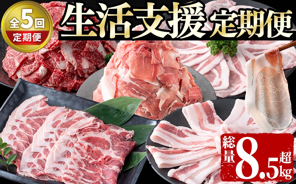 【定期便全5回】生活支援定期便(5ヶ月連続・総量8.5kg以上)国産牛 九州産 豚 豚肉 肉 牛肉 国産 しゃぶしゃぶ 豚バラ 切り落し 大容量 人気 小分け 真空包装 t0061-002