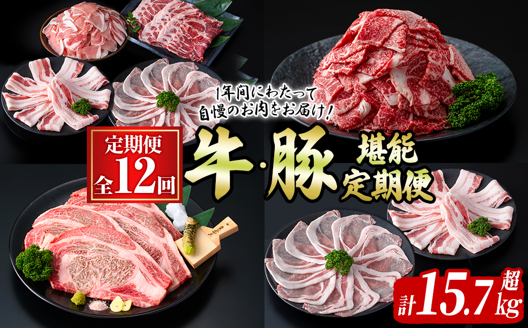 【定期便全12回】牛・豚堪能定期便(12ヶ月連続・計15.7kg超) 黒毛和牛 国産牛 九州産 豚 豚肉 肉 牛肉 国産 4等級 訳あり 小分け 真空包装 冷凍 t0194-002