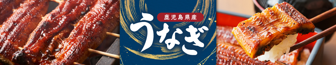 奄美市おすすめのうなぎ