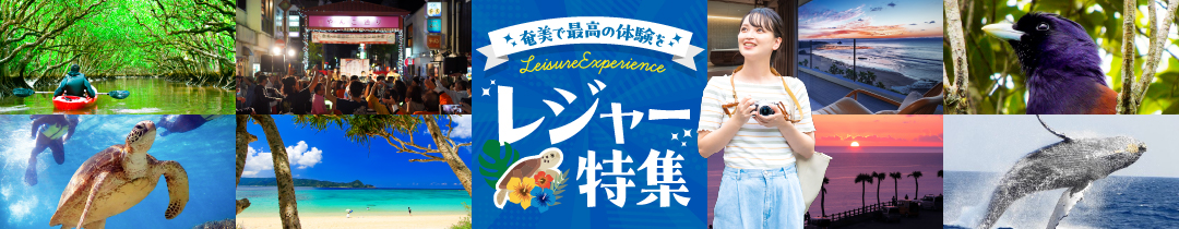 奄美市おすすめの観光・体験・アウトドア