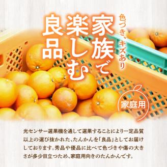 奄美たんかん良品 家庭用 5kg　A086-004