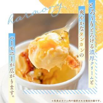 奄美産タンカンのクレームブリュレ（6個入り）　A071-001
