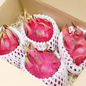 【2026年先行予約】奄美産ドラゴンフルーツ 赤玉 2kg　A145-008