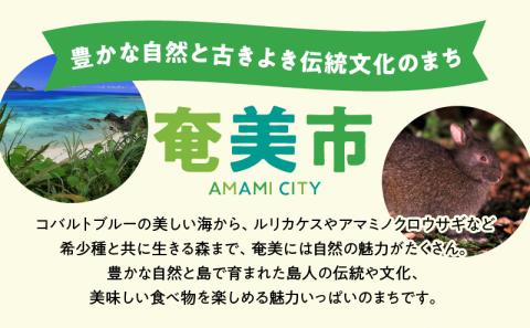 鹿児島県奄美市の対象ツアーに使えるHISふるさと納税クーポン 寄附額30,000円　HIS03