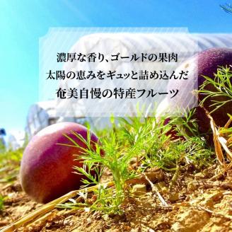 【2026年先行予約】奄美のパッションフルーツ 2kg　A041-001