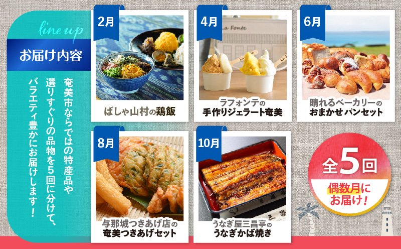 【全5回】奄美バラエティ定期便　A000-T2401