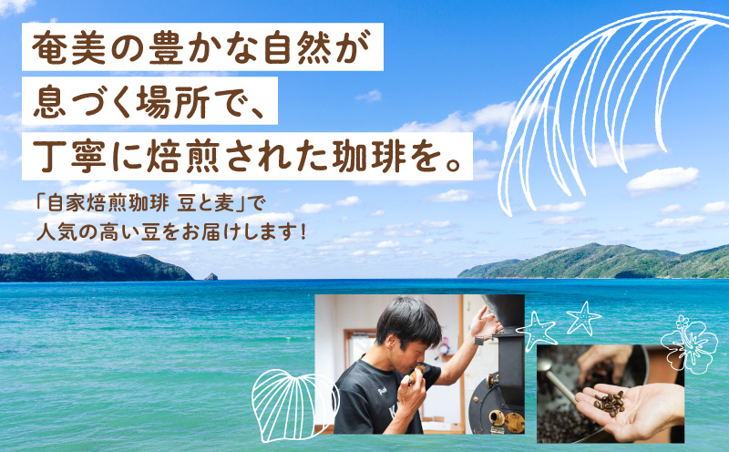 【ギフト用】【自家焙煎】豆と麦 グアテマラ（豆） 計600g（200g×3袋）　A017-019-07