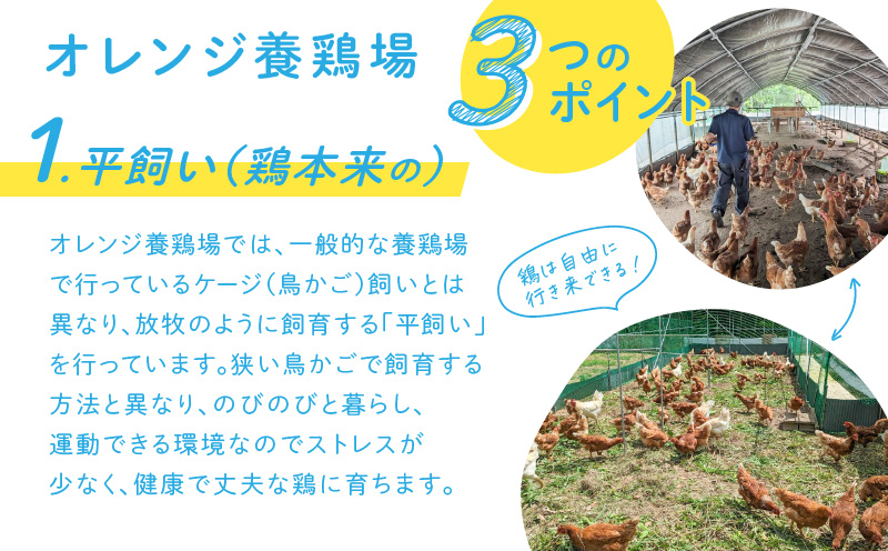 奄卵（あまらん）平飼い 有精卵 30個　A115-007