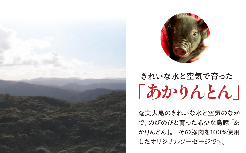 奄美クラフトビール＜4種＞ビアカップ受賞4本セットと奄美島豚あかりんとんソーセージ（6本）【化粧箱】　A126-013-03