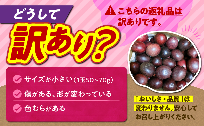 【2026年先行予約】奄美パッションフルーツ 訳あり品 2kg（30個前後）　A135-005