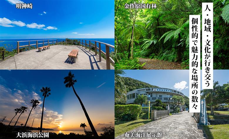 鹿児島県奄美市の対象施設で使えるJTA旅行クーポン（90,000円分）　A188-002